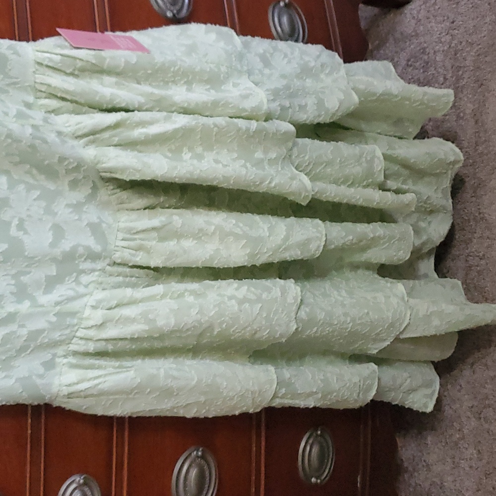 Ivy City Co, 8, Elegant Mint Green Lace Tiered Dress, NWT - Picture 6 of 10